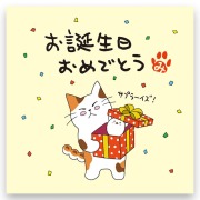 ねこのメッセージ付きティーバッグ（3包入）【クリックポスト送料無料】/お誕生日おめでとう