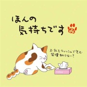 ねこのメッセージ付きティーバッグ（3包入）【クリックポスト送料無料】/ほんの気持ちです