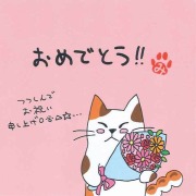 ねこのメッセージ付きティーバッグ（3包入）【クリックポスト送料無料】/おめでとう!!