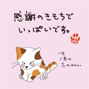 ねこのメッセージ付きティーバッグ（3包入）【クリックポスト送料無料】/感謝の気持でいっぱいです