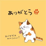 ねこのメッセージ付きティーバッグ（3包入）【クリックポスト送料無料】/ありがとう