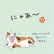 ねこのメッセージ付きティーバッグ（3包入）【クリックポスト送料無料】/にゃあ～