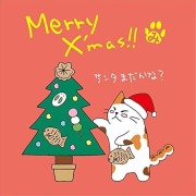 ねこのメッセージ付きティーバッグ（3包入）【クリックポスト送料無料】/Merry X'mas!!