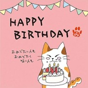 ねこのメッセージ付きティーバッグ（3包入）【クリックポスト送料無料】/HAPPY BIRTHDAY