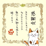 ねこのメッセージ付きティーバッグ（3包入）【クリックポスト送料無料】/感謝状