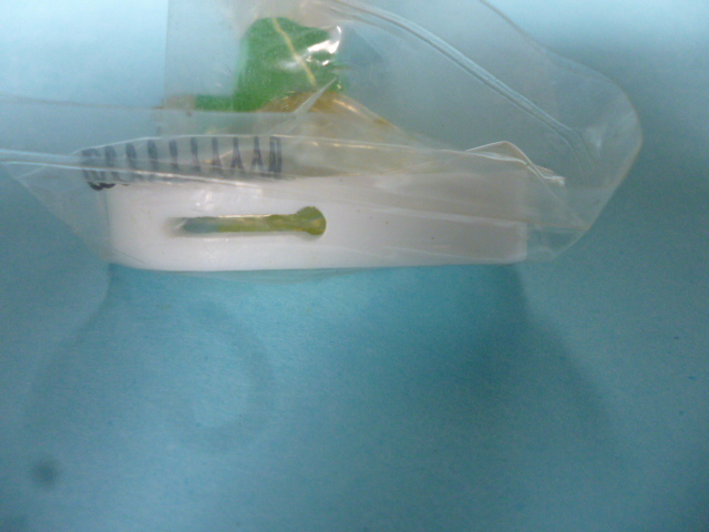 「長期在庫品」　SUISEI 　テフロン ジッパー付け「交換用テフロンのみT363B」