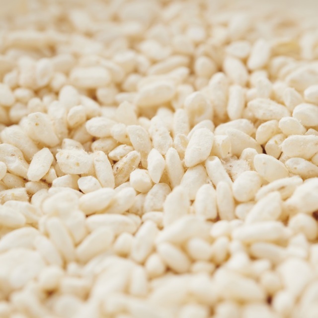 愛知県産米 米こうじ 1kg 米麹