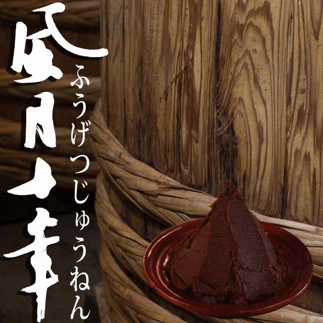 10年熟成・秘蔵の天然醸造信州味噌【風月十年】限定品（500g）：石井味噌