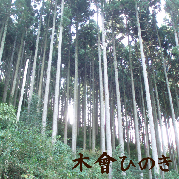 木曾ひのき味噌べら