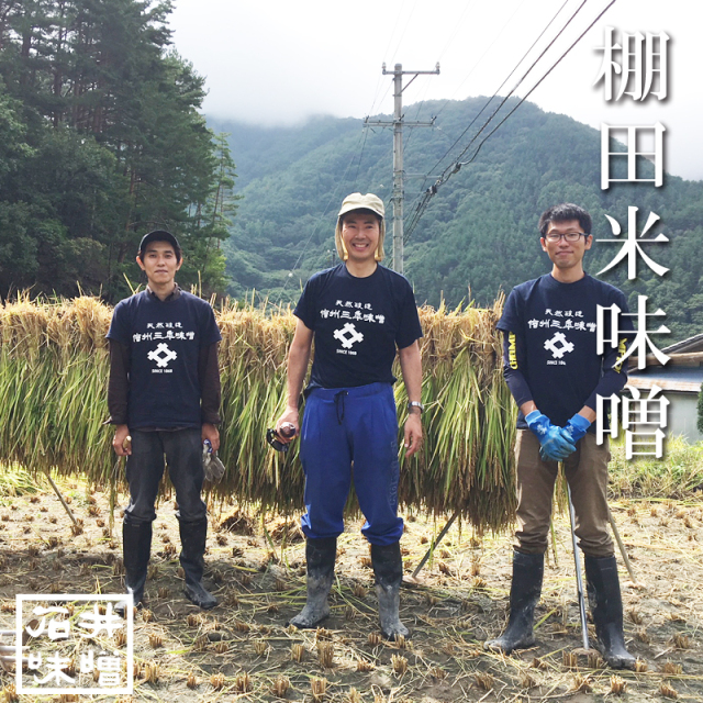 棚田米味噌1㎏