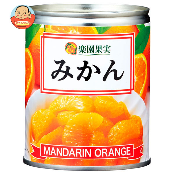 楽園果実 みかん 350g×24個入