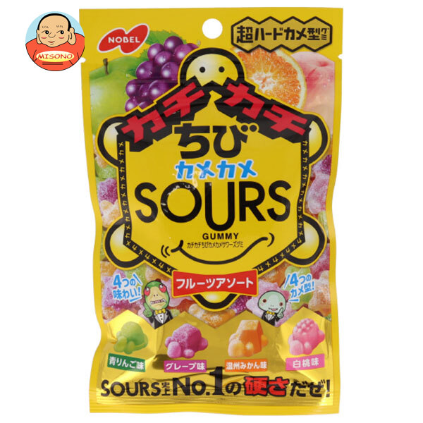 ノーベル製菓 カチカチちびカメカメサワーズ(SOURS) フルーツアソ―ト 70g×6袋入
