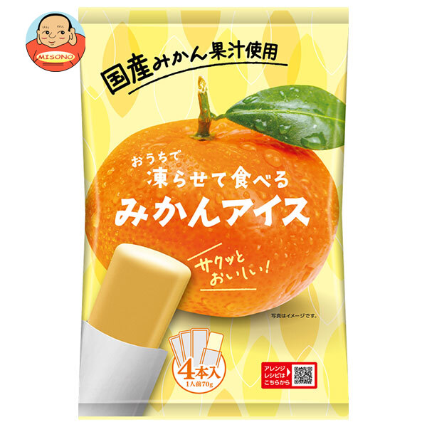谷尾食糧工業 凍らせて食べる 国産 みかんアイス (70g×4)×12袋入