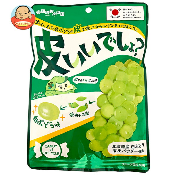 扇雀飴本舗 皮いいでしょ? 65g×10袋入