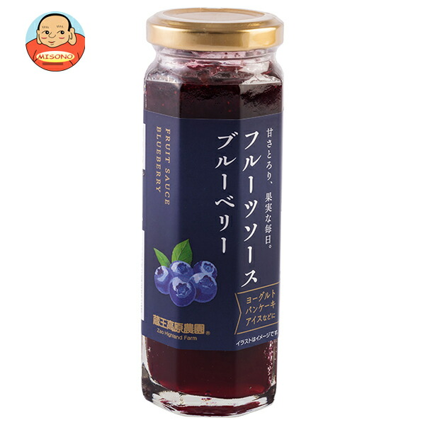 和歌山産業 フルーツソース ブルーベリー 160g×12本入