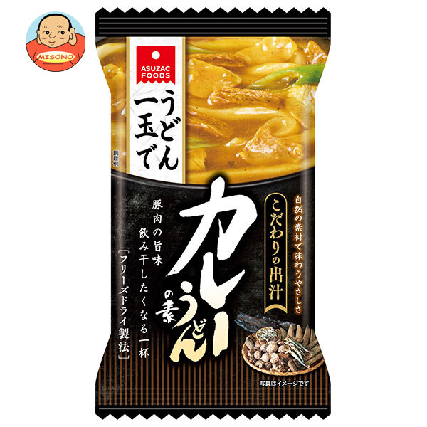 アスザックフーズ カレーうどんの素 22g×10袋入