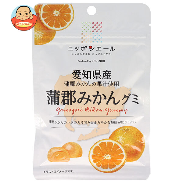 JA全農 ニッポンエール 愛知県産蒲郡みかん グミ 40g×10袋入