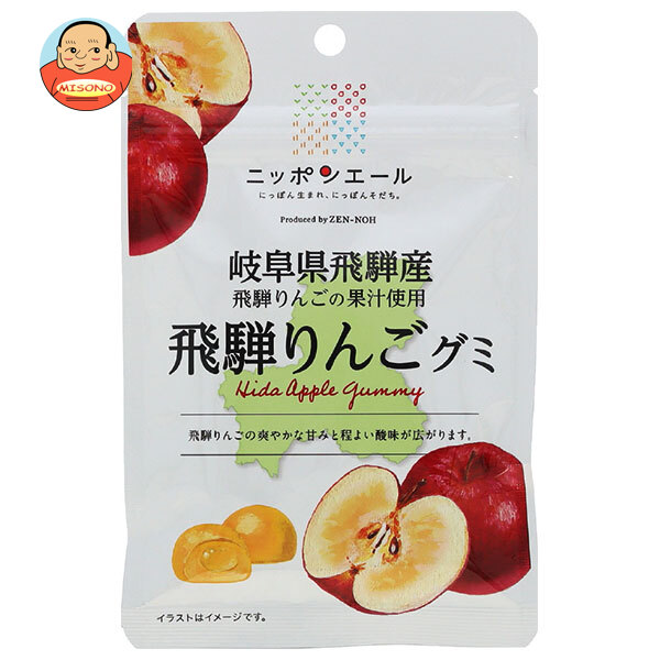 JA全農 ニッポンエール 岐阜県産飛騨りんご グミ 40g×10袋入