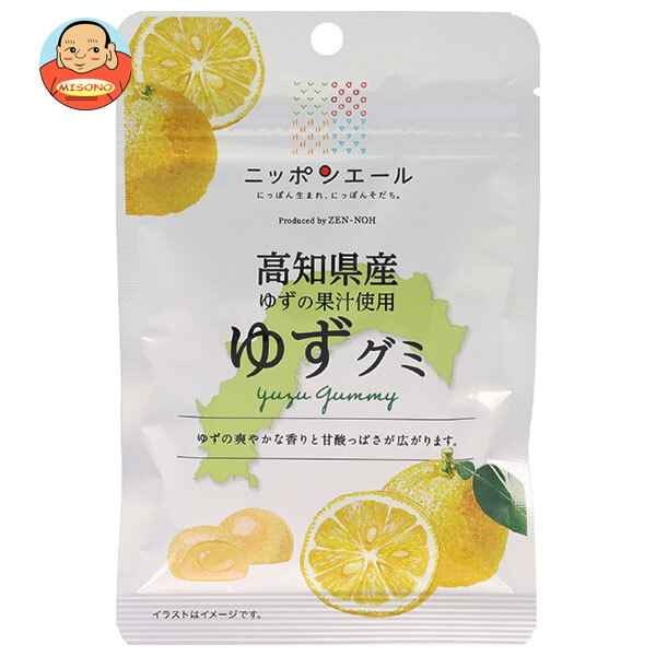 JA全農 ニッポンエール 高知県産ゆず グミ 40g×10袋入
