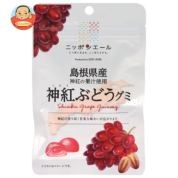 JA全農 ニッポンエール 島根県産神紅ぶどう グミ 40g×10袋入