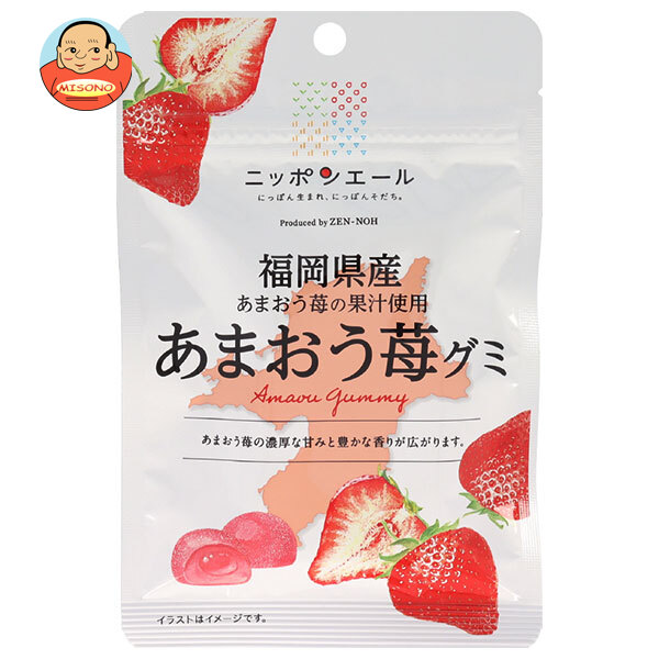 JA全農 ニッポンエール 福岡県産あまおう グミ 40g×10袋入