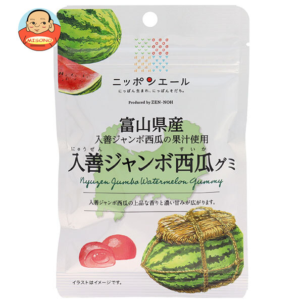 JA全農 ニッポンエール富山県入善ジャンボ西瓜 グミ 40g×10袋入