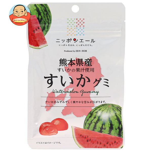 JA全農 ニッポンエール 熊本県産すいか グミ 40g×10袋入