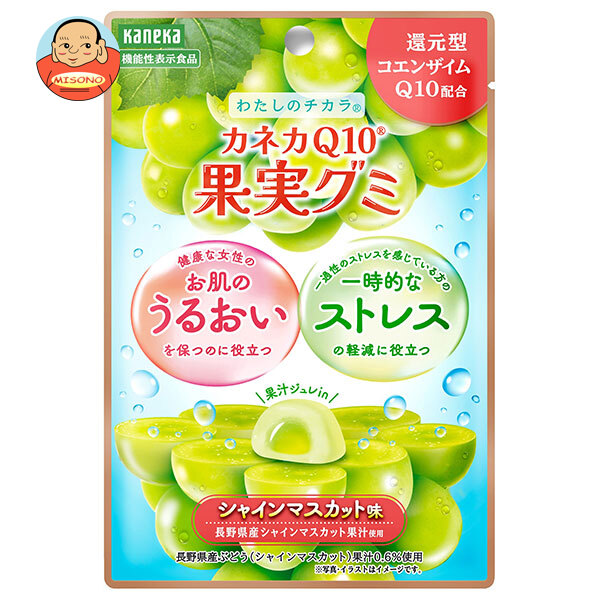 カネカ食品 カネカQ10果実グミ シャインマスカット味 40g×10袋入
