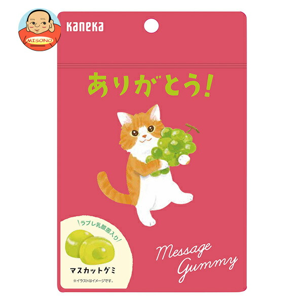 カネカ食品 メッセージグミ ありがとう マスカット 40g袋×10袋入