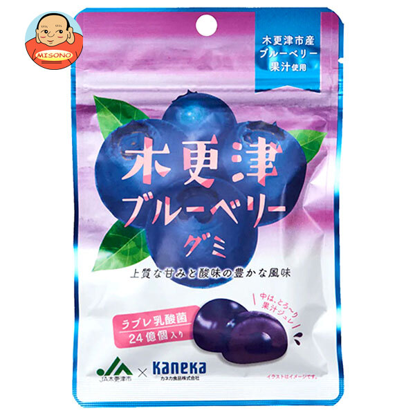 カネカ食品 木更津ブルーベリーグミ ラブレ乳酸菌入 40g×10袋入