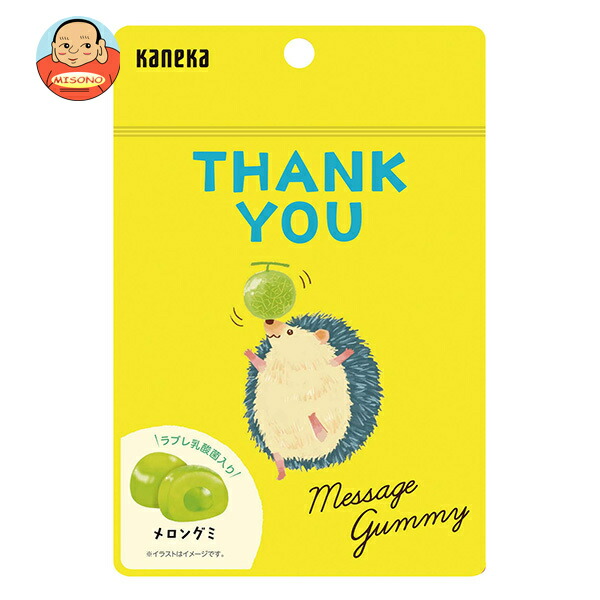 カネカ食品 メッセージグミ THANK YOU メロン 40g袋×10袋入