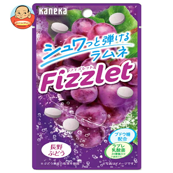 カネカ食品 Fizzlet 長野ぶどう 16g×10袋入