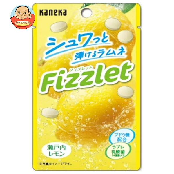 カネカ食品 Fizzlet 瀬戸内レモン 16g×10袋入