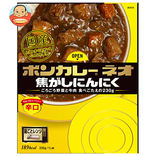 大塚食品 ボンカレーネオ 焦がしにんにく やみつきスパイシー 辛口 200g×30個入