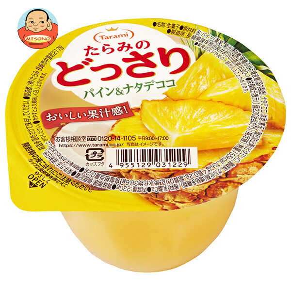 たらみ たらみのどっさり パイン&ナタデココ 230g×24(6×4)個入