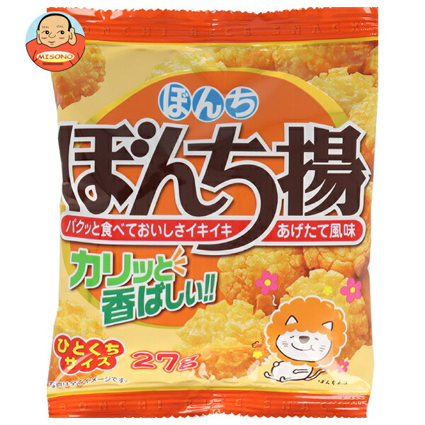 ぼんち ぼんち揚 27g×20袋入