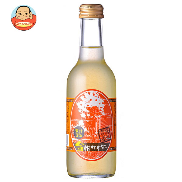 薩摩酒造 金柑サイダー 245ml瓶×24本入