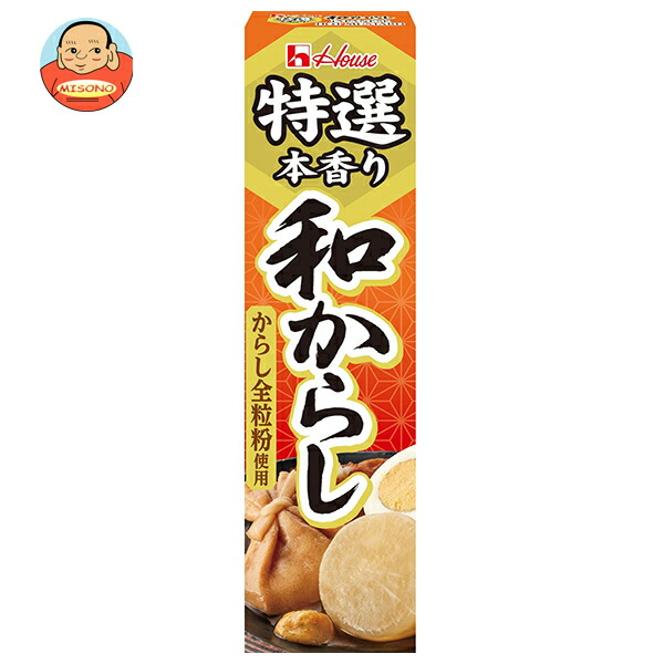 ハウス食品 特選本香り 和からし 42g×10本入