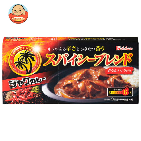 ハウス食品 ジャワカレー スパイシーブレンド 191g×10個入