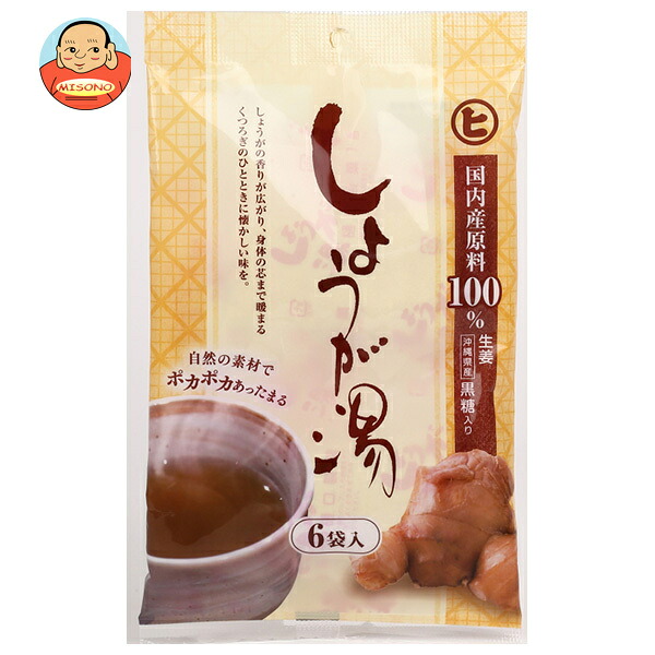 樋口製菓 カリンエキス入り しょうが湯 (20g×4袋)×20個入