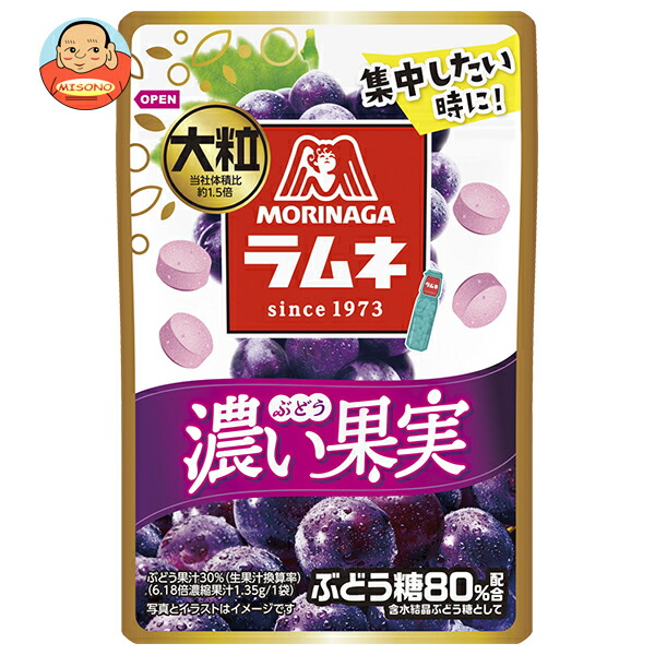 森永製菓 大粒ラムネ 濃い果実 ぶどう 27g×10袋入