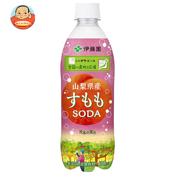 伊藤園 ニッポンエール 山梨県産すももソーダ 480mlペットボトル×24本入