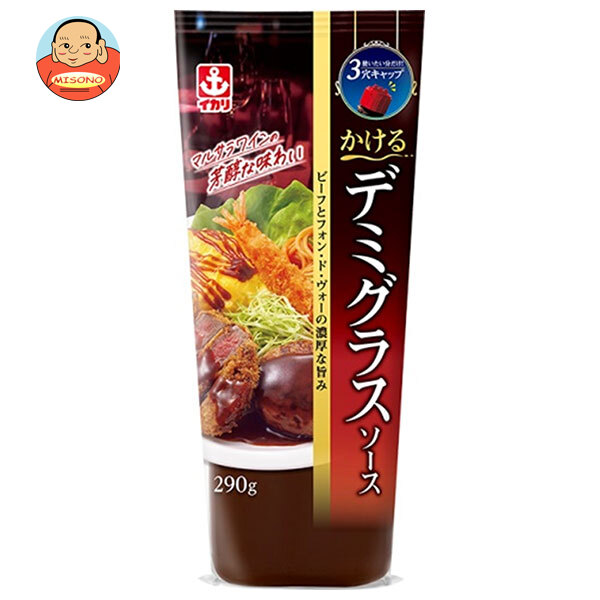 イカリソース かけるデミグラスソース 290g×10本入