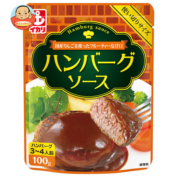 イカリソース ハンバーグソース 100g×10袋入