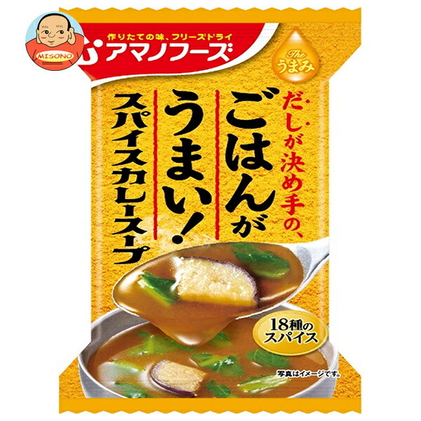 アマノフーズ フリーズドライ Theうまみ ごはんがうまい! スパイスカレースープ 10食×6箱入
