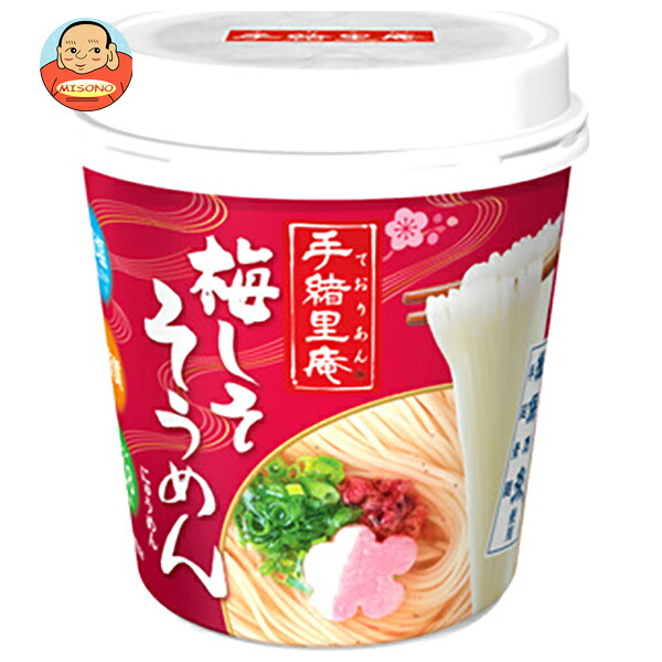 ヤマダイ 手緒里庵 梅しそそうめん 30g×6個入