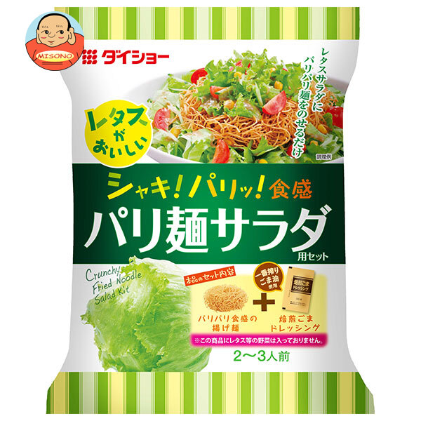 ダイショー レタスがおいしい パリ麺サラダ用セット 95g×10袋入