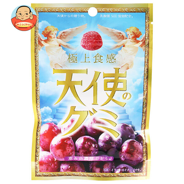 アイデアパッケージ 天使のグミ 恵みの濃厚ぶどう味 40g×10袋入