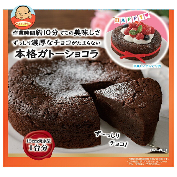 共立食品 本格ガトーショコラキット 170g×5袋入