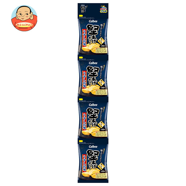 カルビー 堅あげプッチ4 うすしお味 60g×10袋入